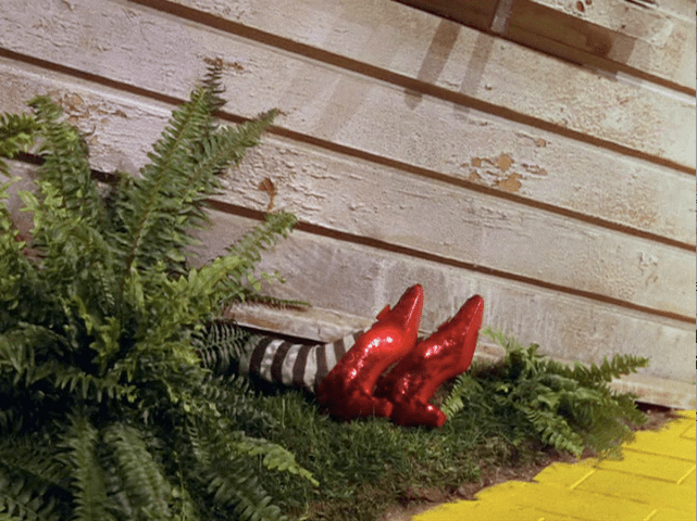 FEE997C8-422B-4F71-BB70-0B01B2E16734