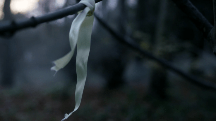 58C72133-4B67-42F9-9D14-5E65612C32C1