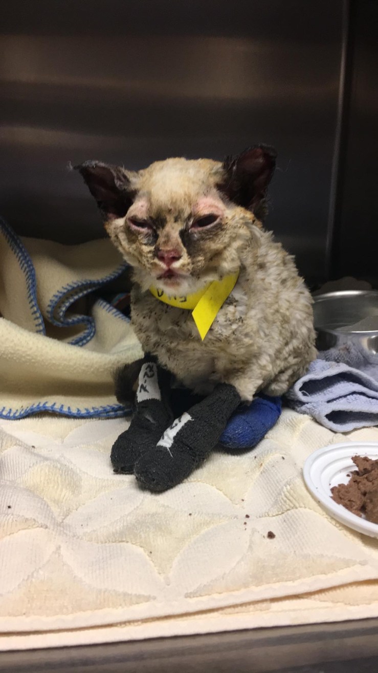 A18F5892-EF3E-4E64-ADBE-2E7074AB7BEE