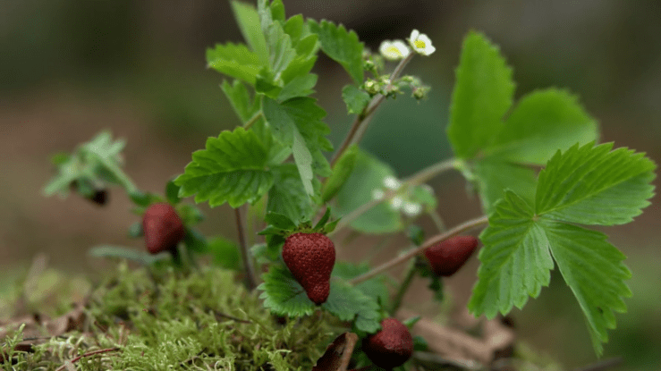 64FAF6E8-D86E-4560-BA01-DE10536A1CAC