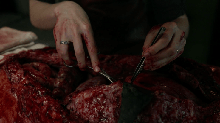 9F03BA91-0FF1-4F96-A4F0-08DBF1F43A4F