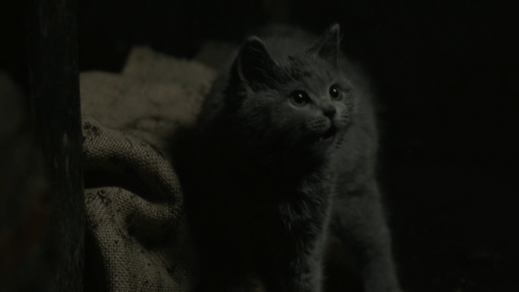 6127C58F-A778-4202-9FBA-316706398894