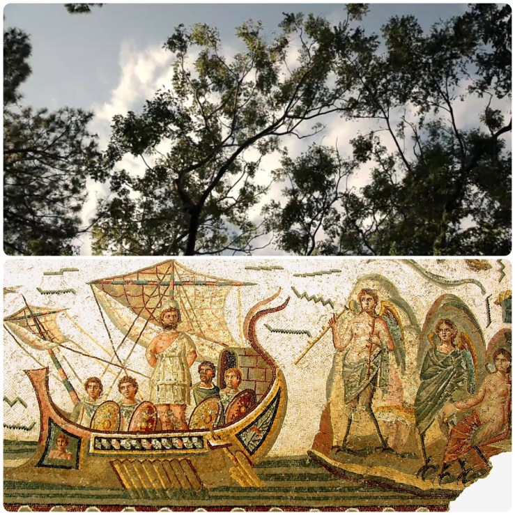 73A422DA-15AA-429C-954A-29CF95D17B72